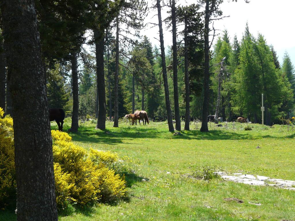 Font Romeu Via公寓 客房 照片